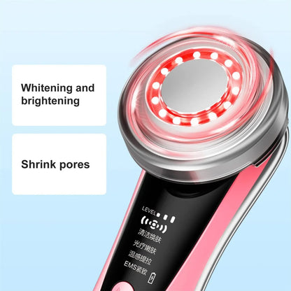 4 in 1 Face Massager Beauty